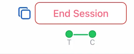 Therapist view showing active connection status with green link indicators
